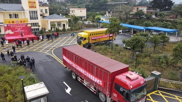 60吨直发！合江真龙柚进入浙江市场！(图4)