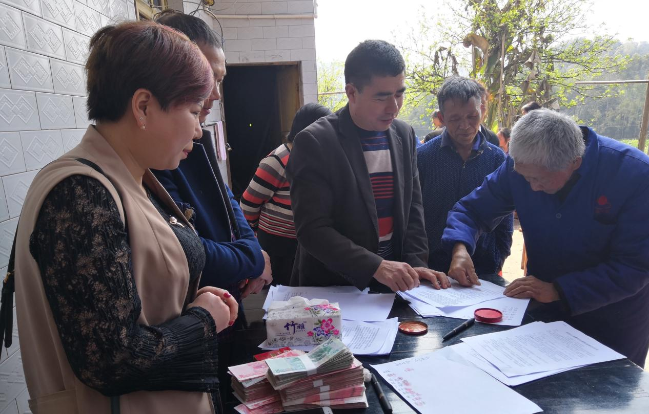 合江县九支镇:苦药材种出大甜头,小枳壳带来新希望(图1) 合江县九支镇:苦药材种出大甜头,小枳壳带来新希望(图1)