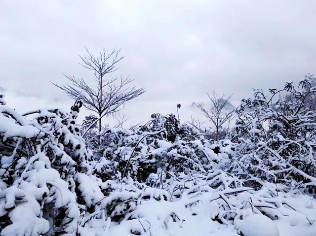 雪落叙永 山川增色! 一起来云=͟͟͞͞赏=͟͟͞͞雪=!(图2) 雪落叙永 山川增色! 一起来云=͟͟͞͞赏=͟͟͞͞雪=!(图2)