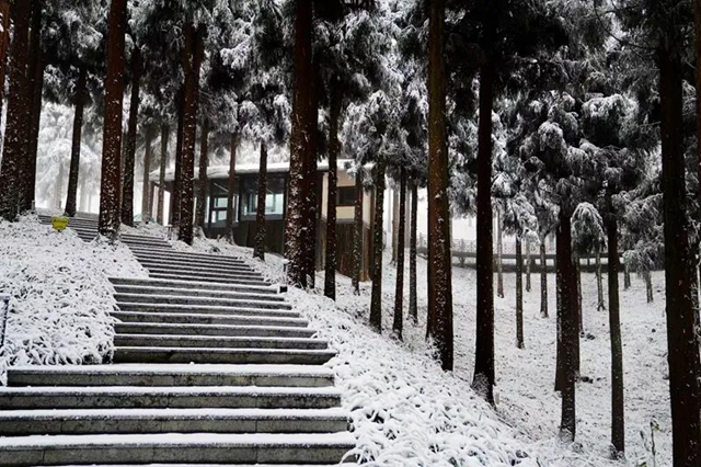 雪落叙永 山川增色! 一起来云=͟͟͞͞赏=͟͟͞͞雪=!(图8) 雪落叙永 山川增色! 一起来云=͟͟͞͞赏=͟͟͞͞雪=!(图8)