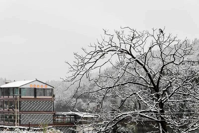 雪落叙永 山川增色! 一起来云=͟͟͞͞赏=͟͟͞͞雪=!(图12) 雪落叙永 山川增色! 一起来云=͟͟͞͞赏=͟͟͞͞雪=!(图12)