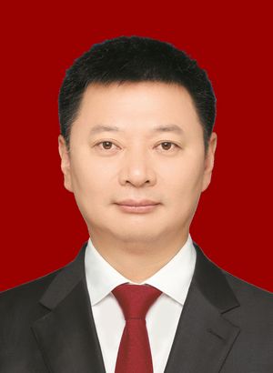 廖文彬当选宜宾市人民政府市长