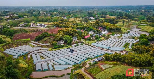 同比增长5.4%！一季度自贡GDP数额为——