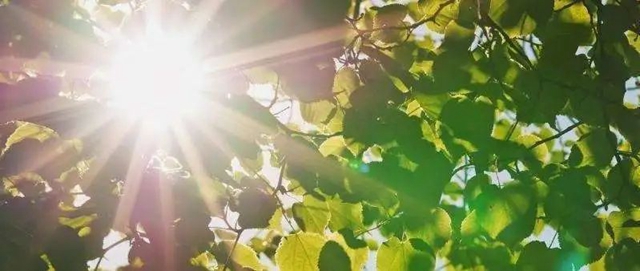 【警惕】泸州49人被蛇咬！