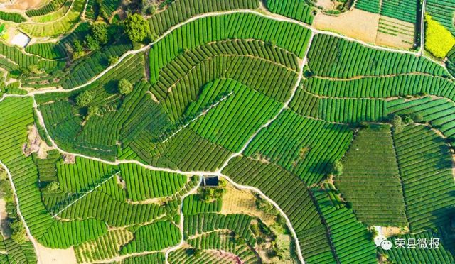 荣县:千年古县,诗书之乡(图5) nEO_IMG_5.jpg