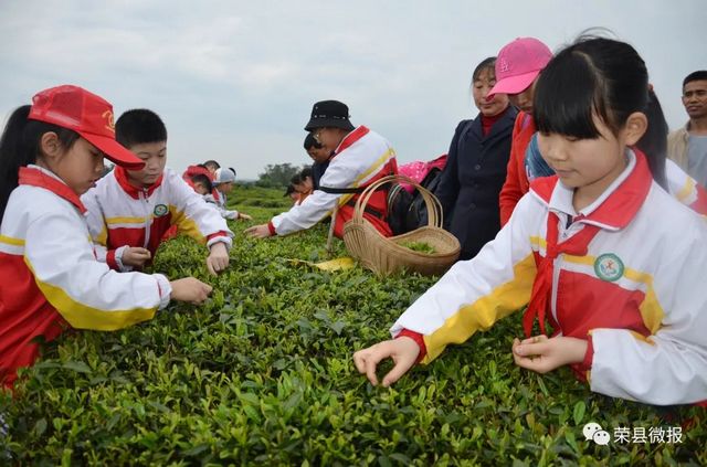 荣县:千年古县,诗书之乡(图6) nEO_IMG_6.jpg