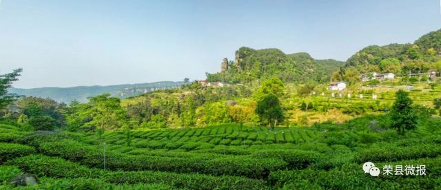 荣县:千年古县,诗书之乡(图8) nEO_IMG_8.jpg