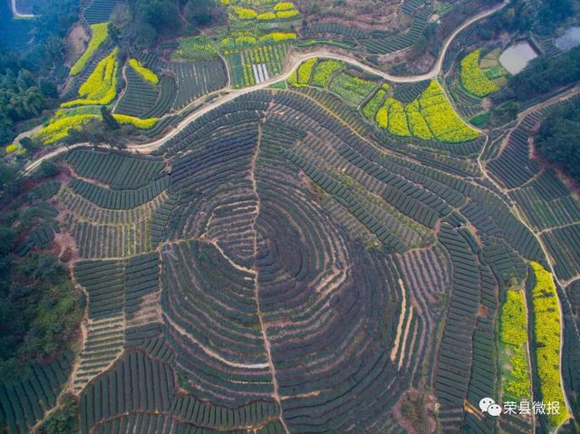 荣县:千年古县,诗书之乡(图15) nEO_IMG_15.jpg