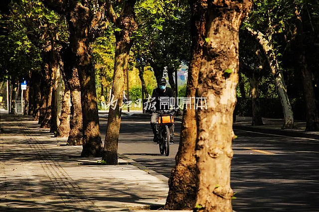 【内江好耍】好似时空隧道!内江城区这条路太美了——(图5) nEO_IMG_5.jpg