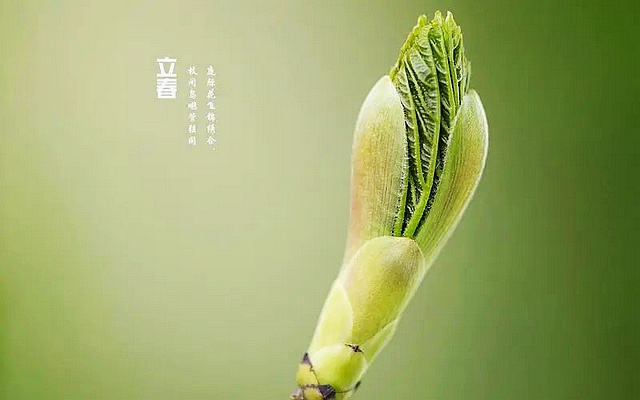 nEO_IMG_5.jpg