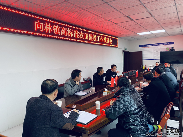 向林镇高标准农田建设工作推进会.jpg