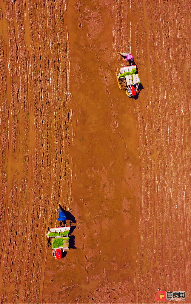 自贡:田间地头,有点东西!(图2) nEO_IMG_2.jpg