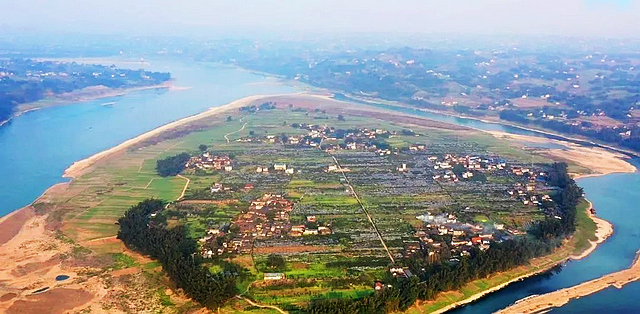 四川首次发现!这种植物现身江安县橙花岛(图4) nEO_IMG_4.jpg