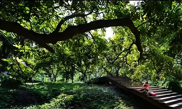 五一假期,搭乘舒适便捷的泸州公交去逛公园吧(图7) nEO_IMG_7.jpg