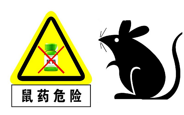 泸州嬢嬢吃榴莲竟老鼠药中毒......