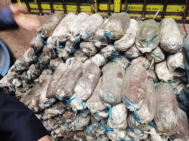 川渝合作维权解纠纷,跨区域协作助农获补偿(图2) nEO_IMG_2.jpg