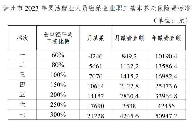 共分7档丨泸州灵活就业人员2023年基本养老保险缴费标准公布