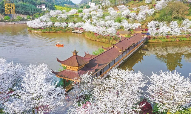 31个村镇入选！泸州第三批市级乡村文化振兴样板村镇名单公示