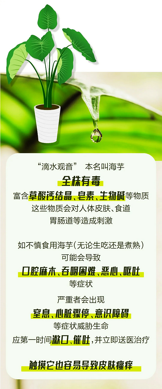 nEO_IMG_9.jpg