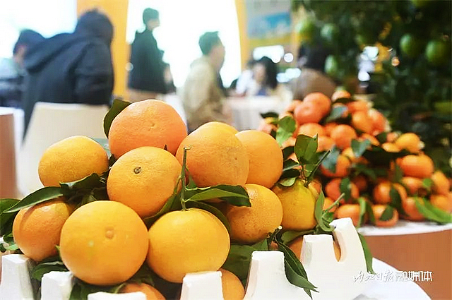 昨天开幕!内江一口气拿出1000多种——(图6) nEO_IMG_6.jpg