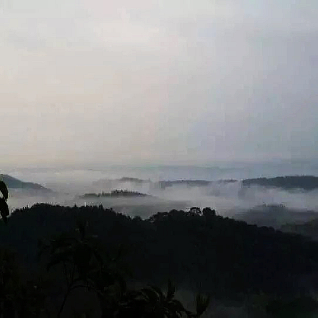 龙贯山踏秋行记