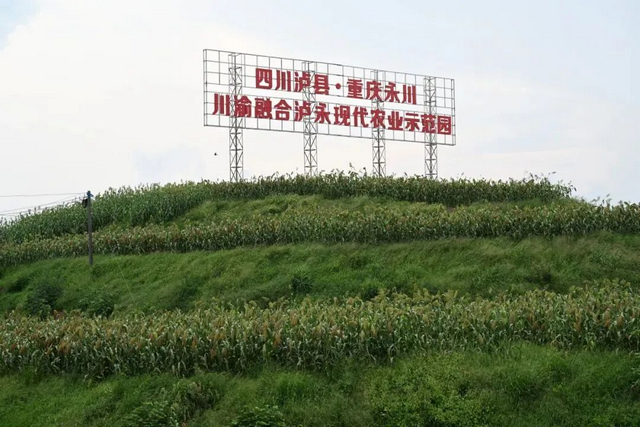 已完成88.3%!泸永江融合发展示范区建设最新进度出炉(图2) 22.jpg