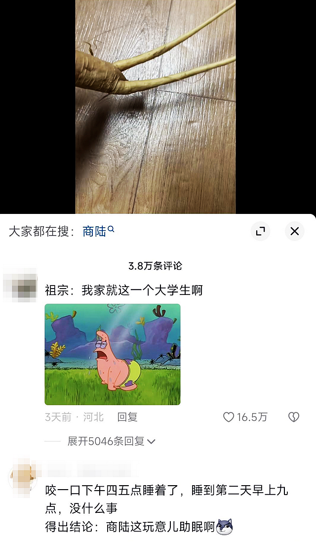 【围观】女大学生啃了一口“人参”昏睡17小时？