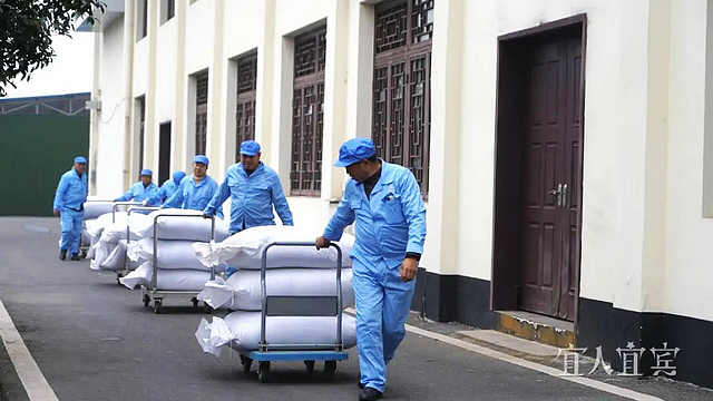 冲刺开门红丨今年首单！宜宾46吨出口茶叶起运中亚