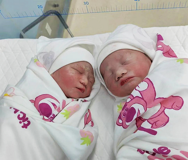 【喜迎新生】第一批“龙宝宝”来了,快来沾沾喜气吧!(图2) nEO_IMG_2.jpg