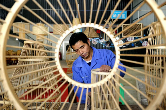 竹生万物 低碳富民┃纳溪区探索“以竹代塑”竹产业发展新路径