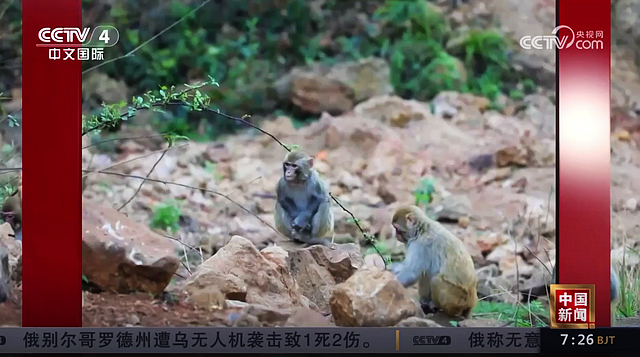 乖萌可爱!泸州这群小家伙上央视了(图1) nEO_IMG_1.jpg